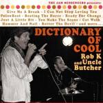 Dictionary of Cool cover art