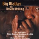 Still Dream Walking cover art