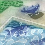 The Pool Whales cover art