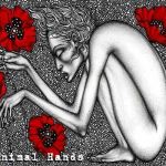 Animal Hands cover art