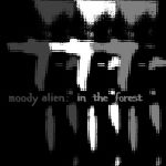 In The Forest cover art