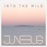 Into The Wild EP cover art