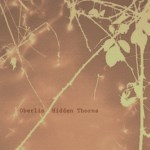Hidden Thorns cover art