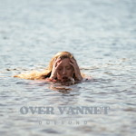 Over Vannet cover art
