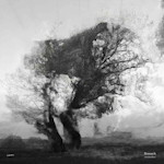 Ronsack cover art