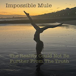 The Reality Could Not Be Further From The Truth cover art