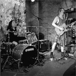 Live Raccoons Inside cover art