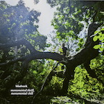 Monumental Thrill, Monumental Chill cover art