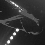 From The Dark cover art